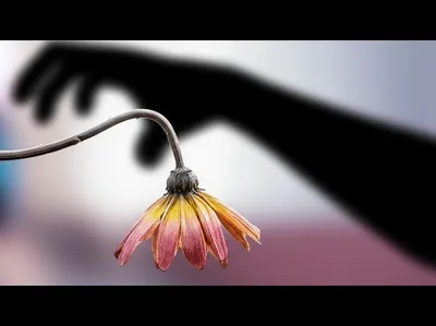 Illustration libeling