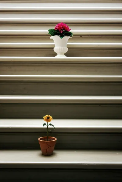 Illustration below - Image 1