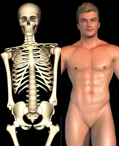 Hình ảnh minh họa underweight