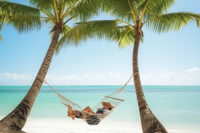 Illustration siesta - Image 1