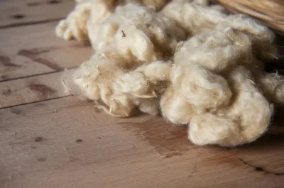 Illustration noils - Image 1