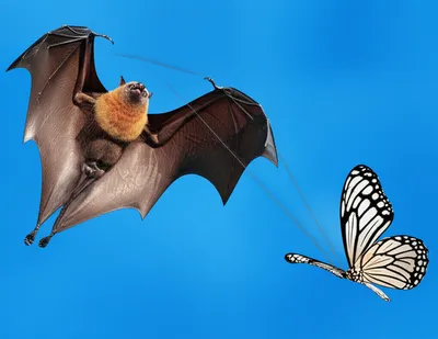 Illustration analogue - Image 1