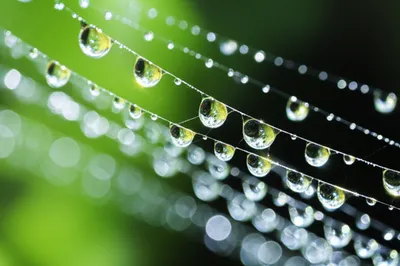 Illustration glittered