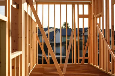 Illustration shells - Image 1