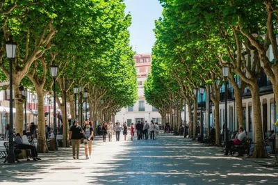 Illustration alamedas - Image 1