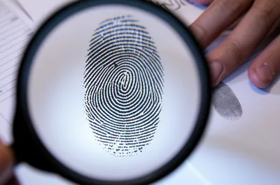 Illustration veracity - Image 1