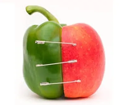 Illustration compilation - Image 2