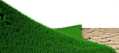 Illustration recovers - Image 1