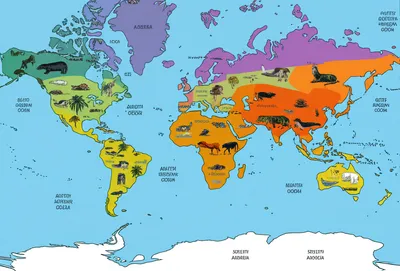 Illustration biogeography
