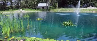 Illustration mere - Image 2