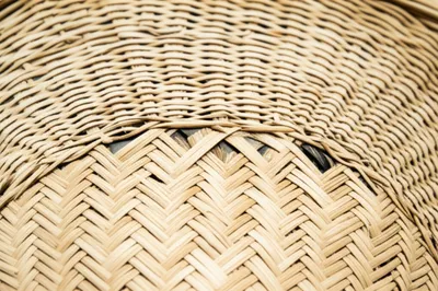 Illustration bamboos - Image 1