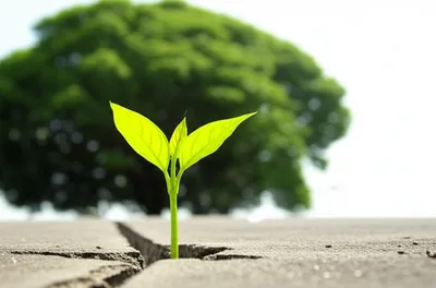 Illustration persisting - Image 1