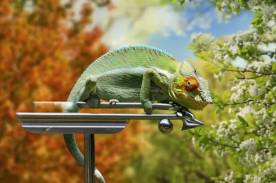 Illustration mobility - Image 1