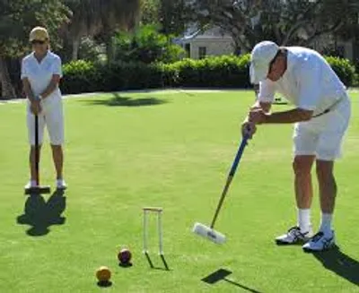 Illustration croquet - Image 2