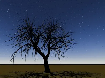 Illustration lone - Image 1