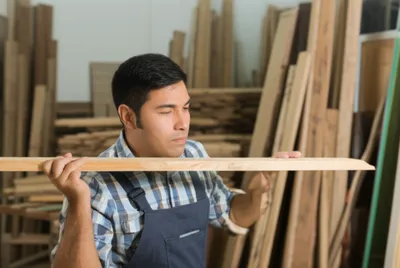 Illustration bones - Image 1