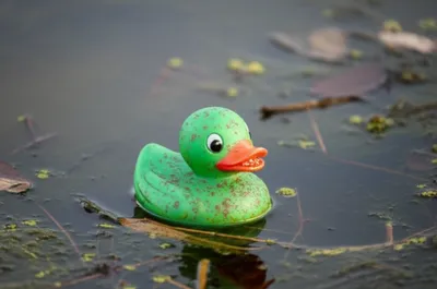 Illustration stale - Image 1