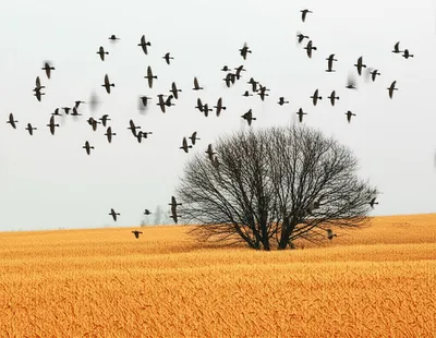 Illustration leave - Image 1