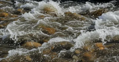 Illustration brawled - Image 1