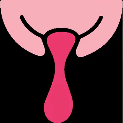 Illustration show - Image 1