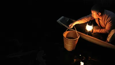 Illustration eels - Image 1