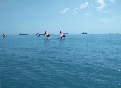 Illustration skiffs - Image 2