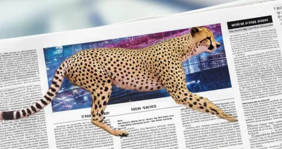 Illustration runs - Image 1