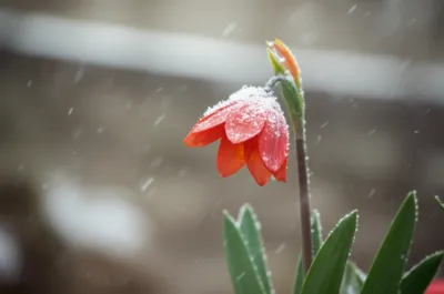 Illustration unaffected - Image 1