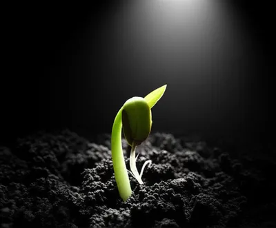 Illustration ere - Image 1