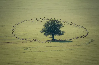 Illustration circling - Image 1