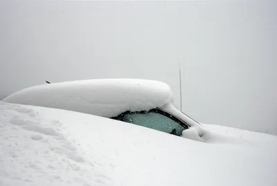 Illustration dumped - Image 1