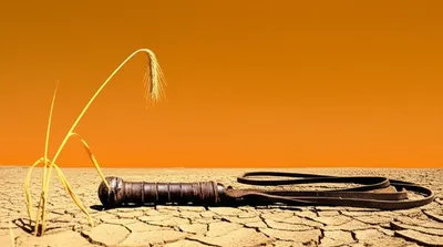 Illustration flog - Image 1