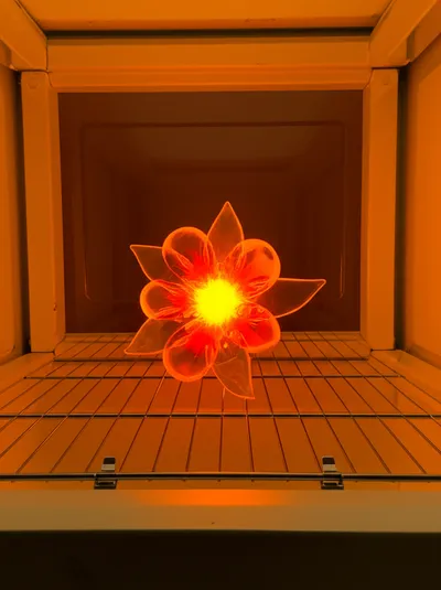 Illustration anneal - Image 1