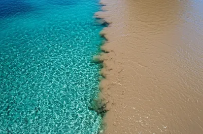 Illustration allay - Image 1