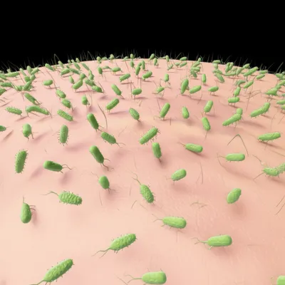 Illustration invasion - Image 1