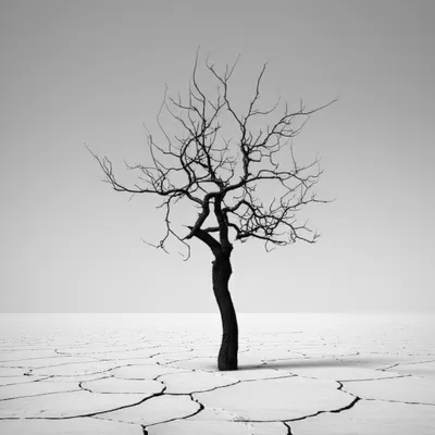 Illustration cold - Image 1