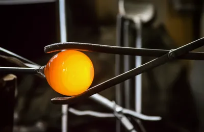 Illustration snap - Image 1