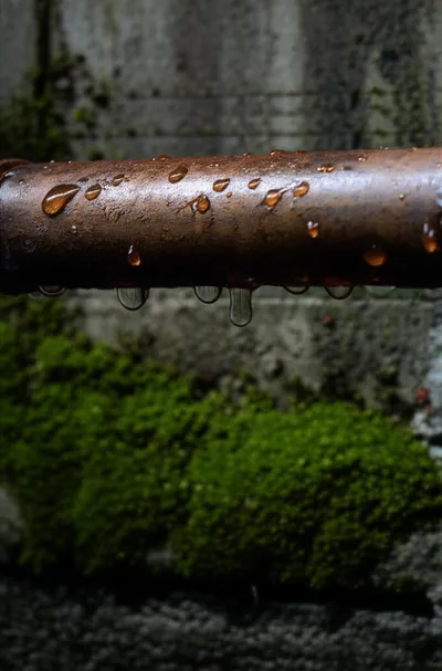 Illustration weepers - Image 1