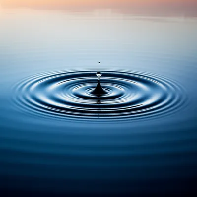 Illustration expansion - Image 1