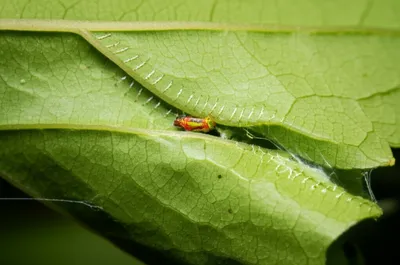 Illustration sewer - Image 1