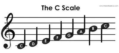 Illustration scale - Image 3