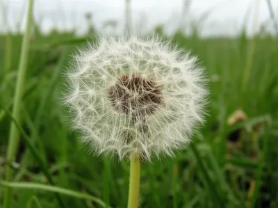 Illustration clock - Image 1