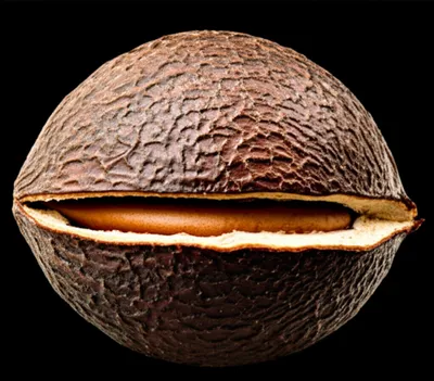 Illustration hull - Image 1