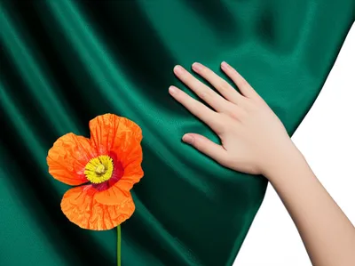 Illustration uncovers - Image 1