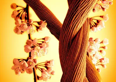 Illustration sexes - Image 1