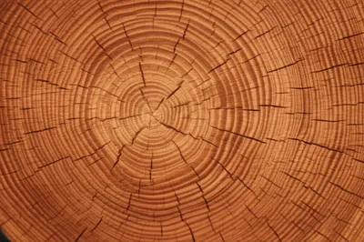 Illustration cherries - Image 1