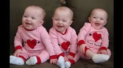 Illustration triplet - Image 2