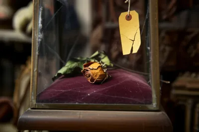 Illustration unsaleable - Image 1