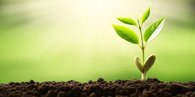 Illustration found - Image 1