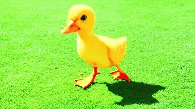 Illustration waddle - Image 1